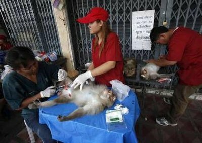 Тотальная стерилизация