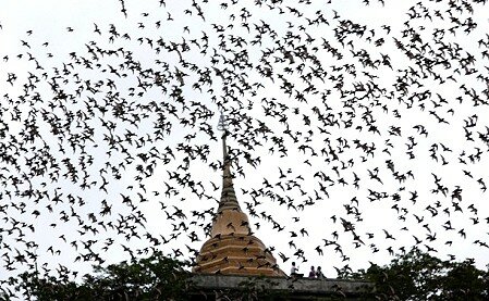 ratchaburi 090916b.jpg