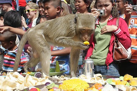 ��� �������� ������ �� ������ 